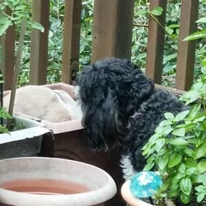 Meet your Posher, Debbie